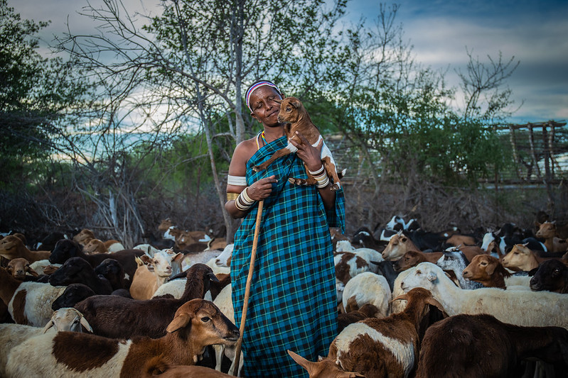 A USAID-funded project used a mobile app and software to track the sale and transfer of land rights in Tanzania. Blockchain technology may also be used to record land titles. Photo credit: Riaz Jahanpour for USAID / Digital Development Communications.